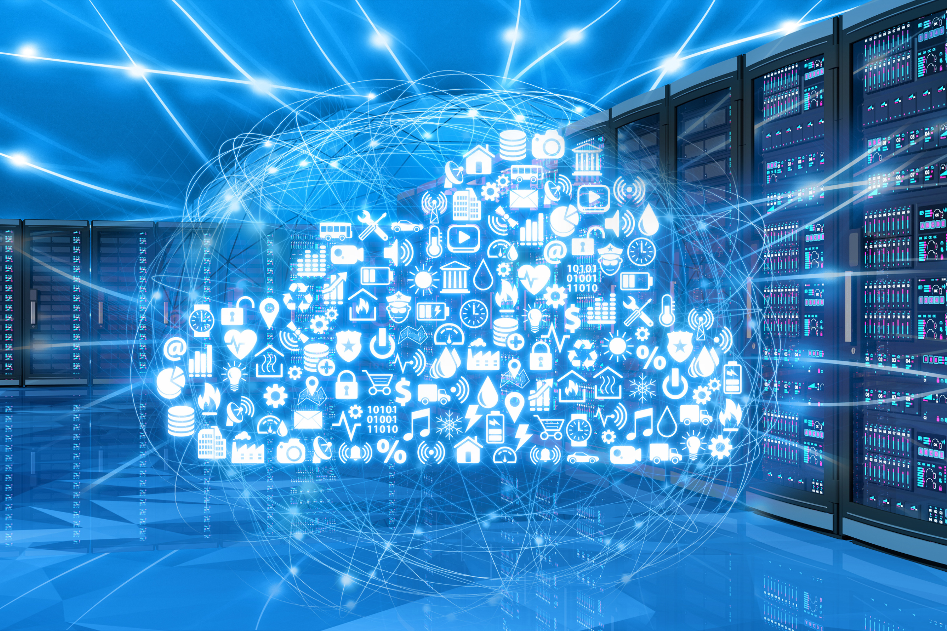 Website Hosting