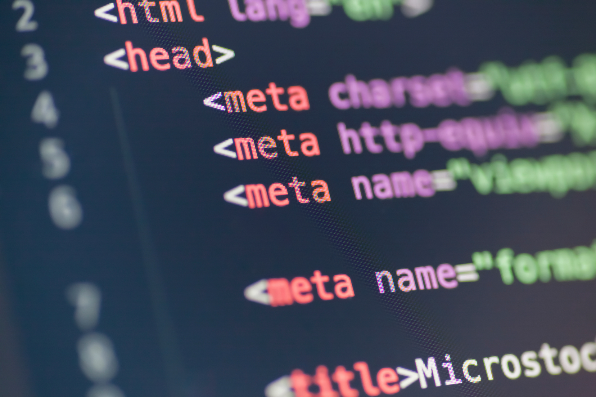 Web Development Showcase